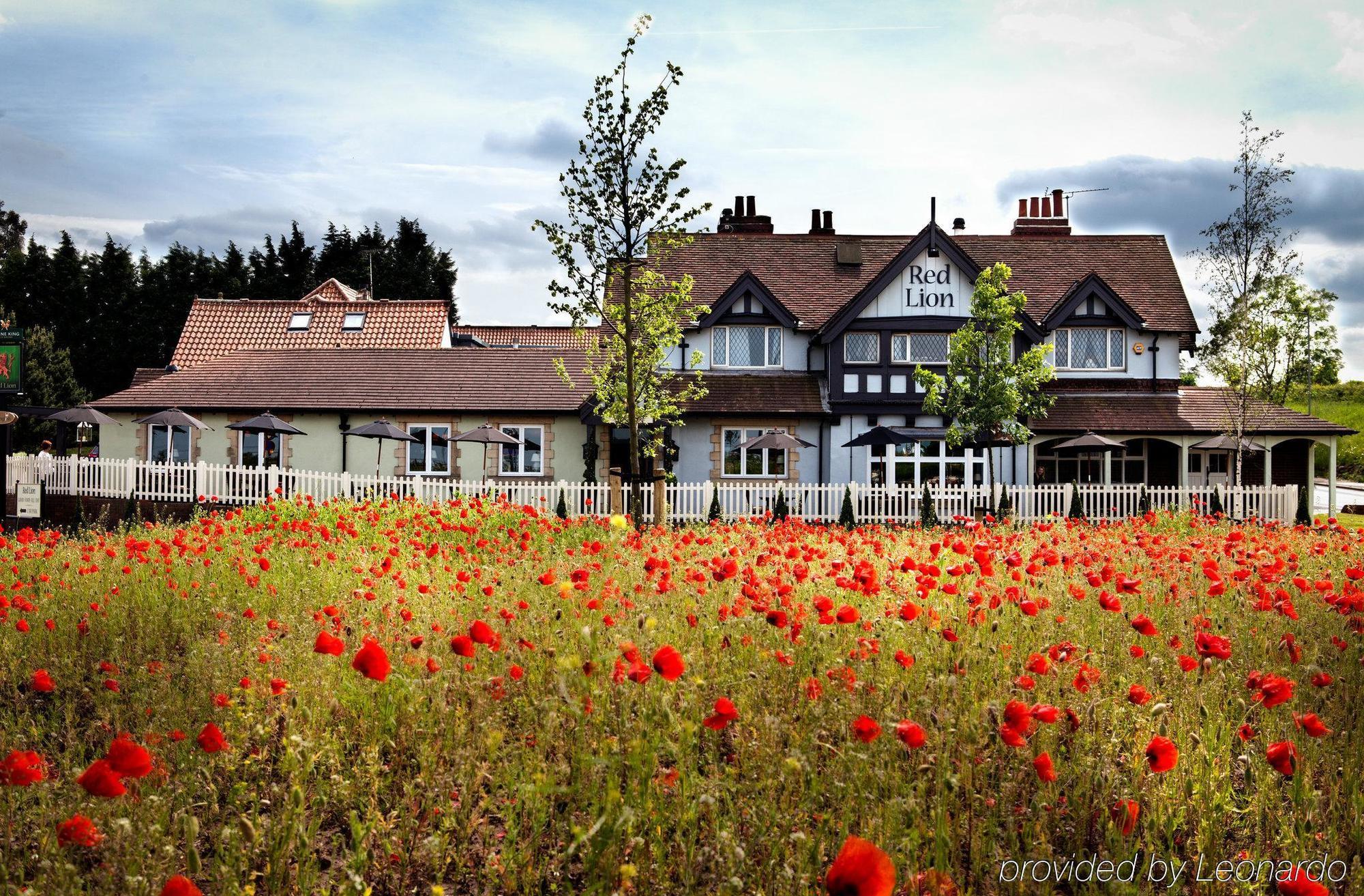 The Red Lion Inn By Chef & Brewer Collection Todwick Экстерьер фото
