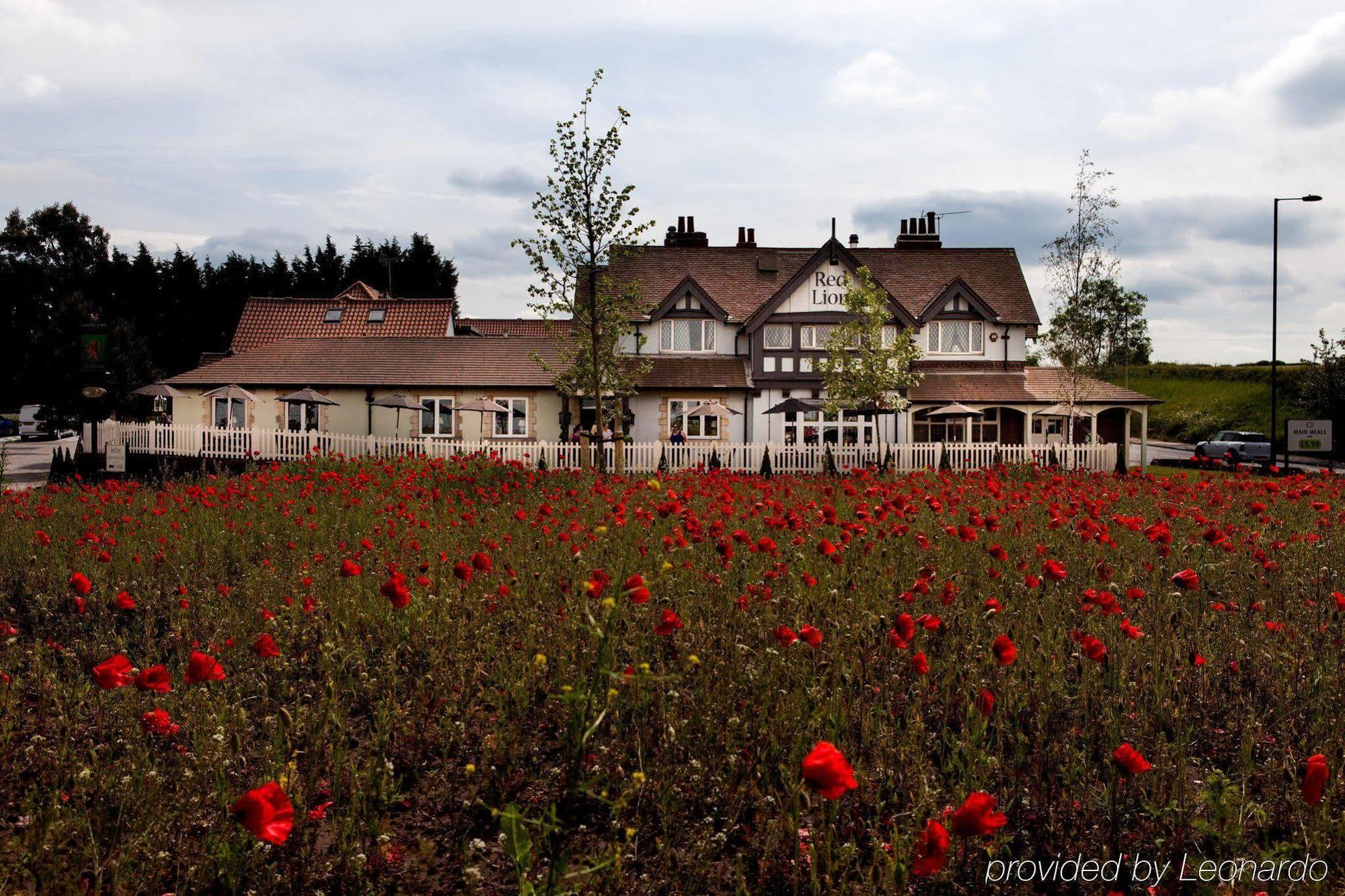 The Red Lion Inn By Chef & Brewer Collection Todwick Экстерьер фото